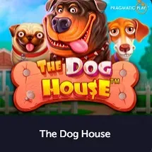 the dog house